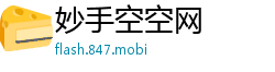 妙手空空网